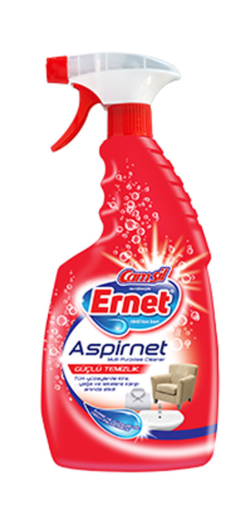 Ernet – Tibet Company